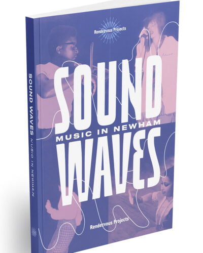 Showing the cover of sound waves book