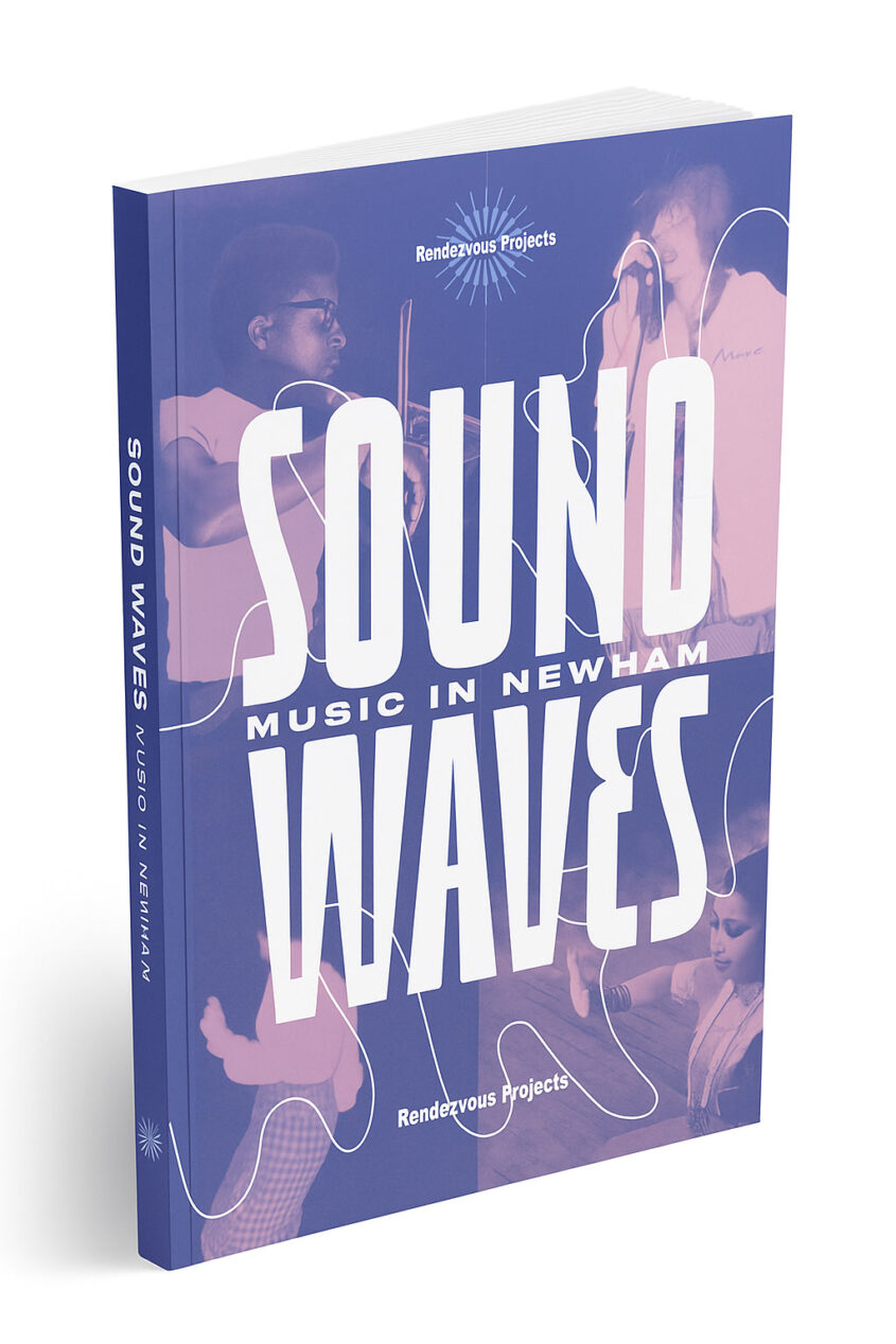 Showing the cover of sound waves book